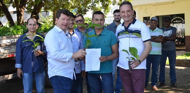 Emenda do senador Ivo Cassol garante mudas de café clonal a agricultores em Rolim de Moura