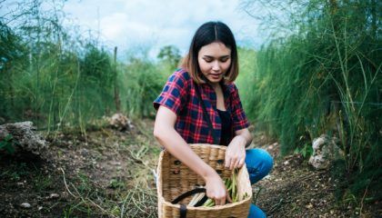 Mulheres e jovens de assentamentos podem ser incluídos no Pronatec