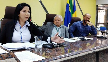 Desapropriação do Linhão é discutida em Audiência Pública proposta por Cristiane Lopes