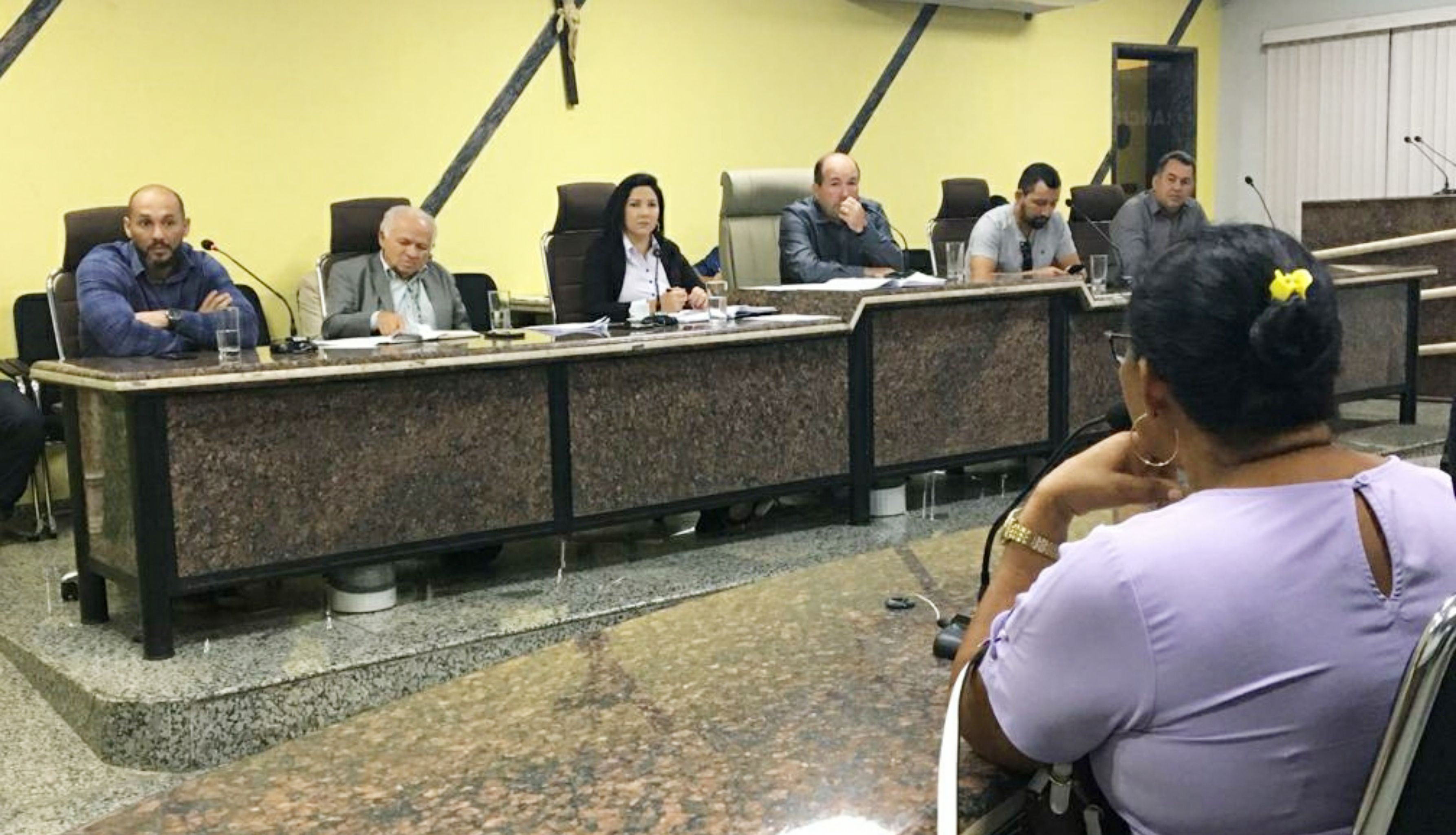 Desapropriação do Linhão é discutida em Audiência Pública proposta por Cristiane Lopes - noticias - progressistas rondonia