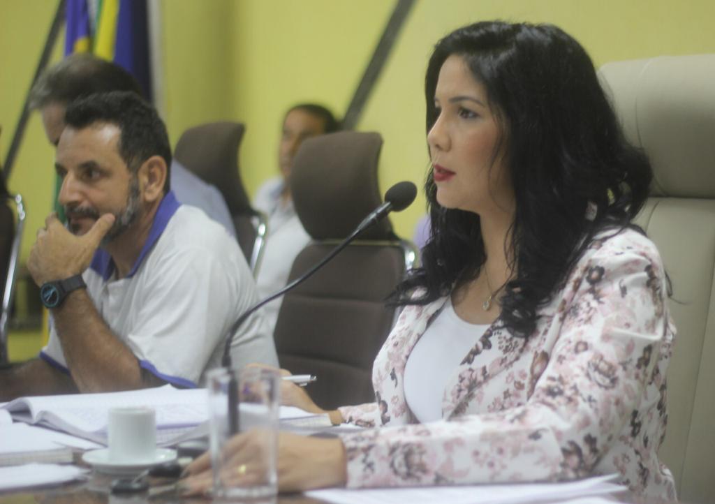 Em Audiência Pública, Cristiane Lopes debate ações voltadas ao Saneamento Básico - noticias - progressistas rondonia